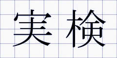 実検