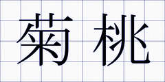 菊桃