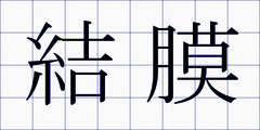 結膜