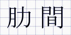 肋間