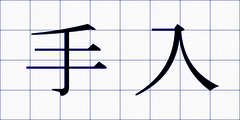 手入