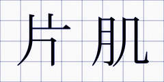 片肌