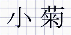 小菊