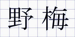 野梅