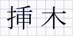 挿木