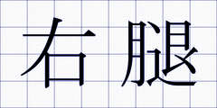 右腿
