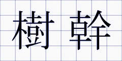 樹幹