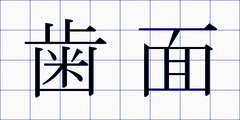歯面