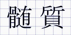 髄質