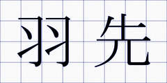 羽先