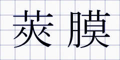 莢膜