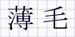 薄毛