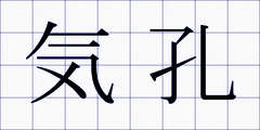 気孔