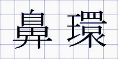 鼻環