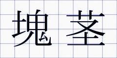 塊茎