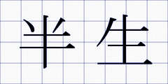 半生
