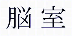 脳室