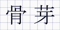 骨芽