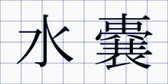 水嚢