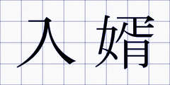 入婿