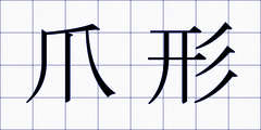 爪形