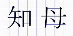 知母