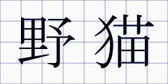 野猫