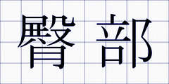 臀部