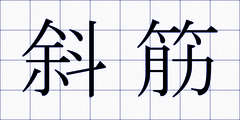 斜筋