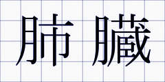 肺臓