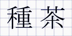 種茶