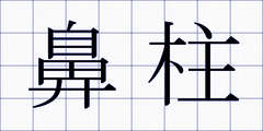 鼻柱