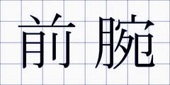 前腕