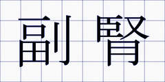 副腎