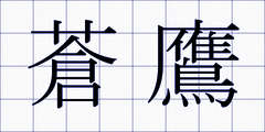 蒼鷹