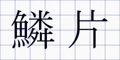 鱗片
