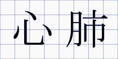 心肺