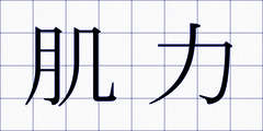 肌力