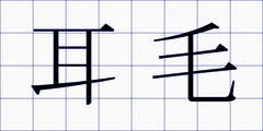 耳毛