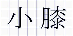 小膝