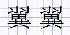 翼翼