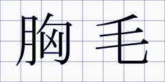 胸毛