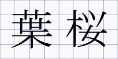 葉桜