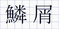 鱗屑