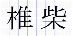 椎柴