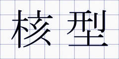核型