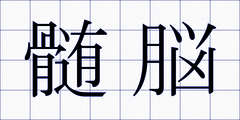 髄脳