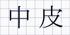 中皮