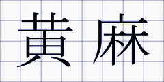 黄麻