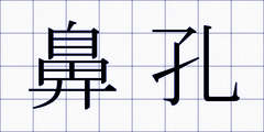 鼻孔